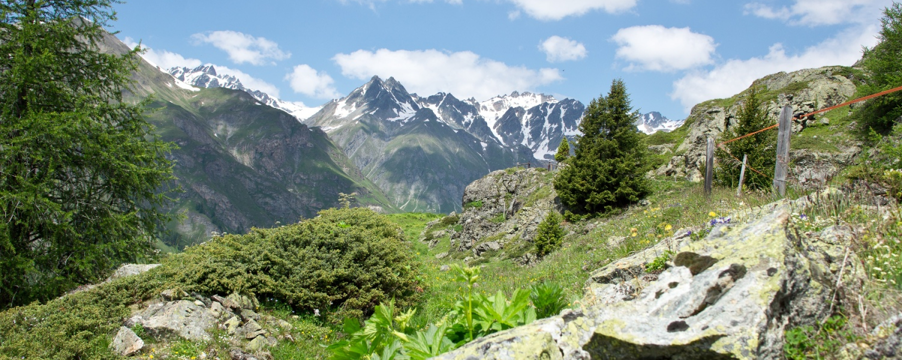 Alp Cluenas Rundtour