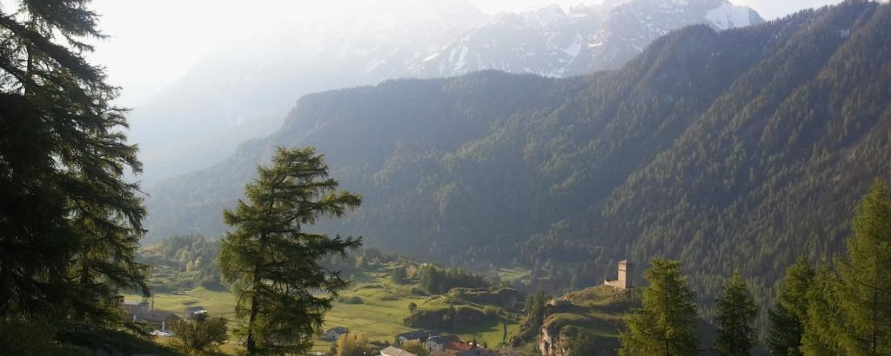 Oberhalb von Ardez mit Blick auf die Ruine Steinsberg.