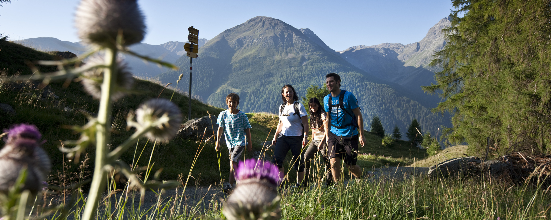 Am Fusse des Piz Buin, Val Tuoi - Furcletta