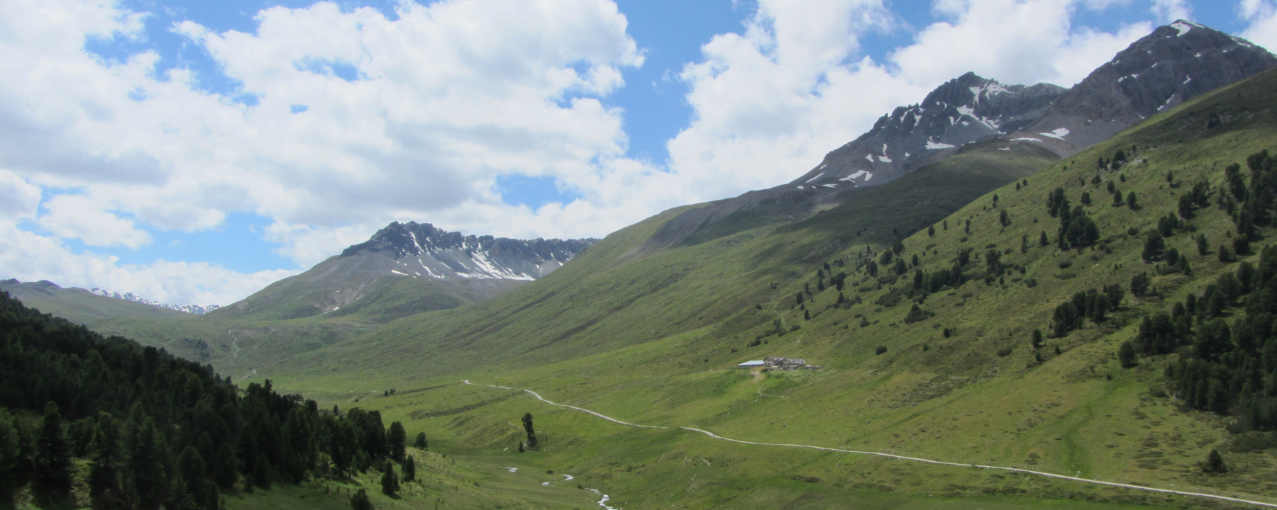 Tamangur Dadora, Blick zur Alp Astras