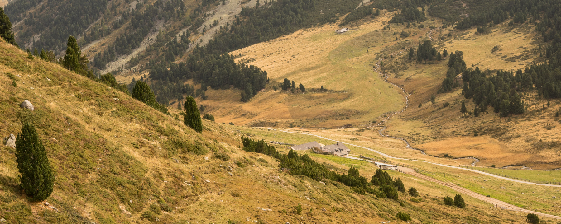 Bei der Alp Praditschöl beginnt die Wanderung