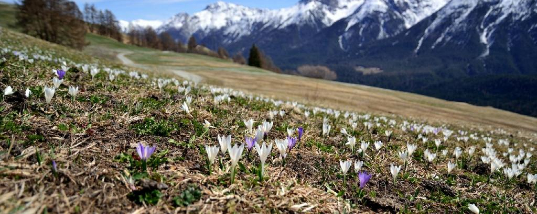Frühling im Unterengadin