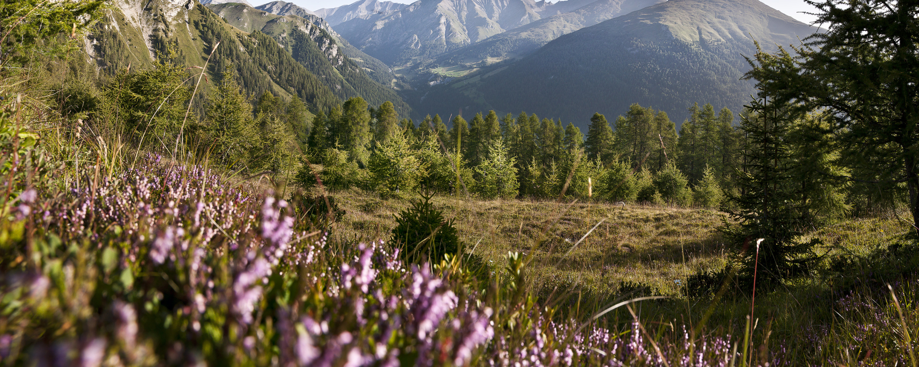 Wunderbare Aussicht auf den Piz Tschütta