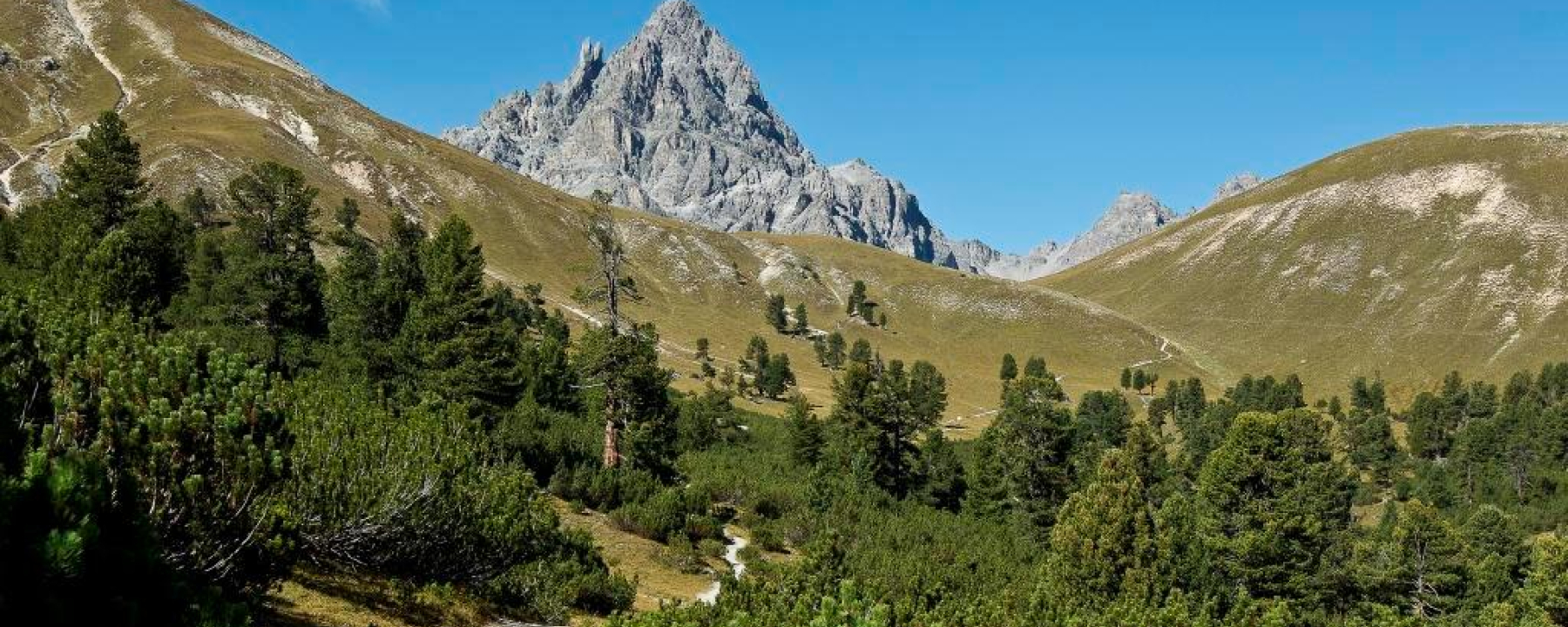Val Mingèr