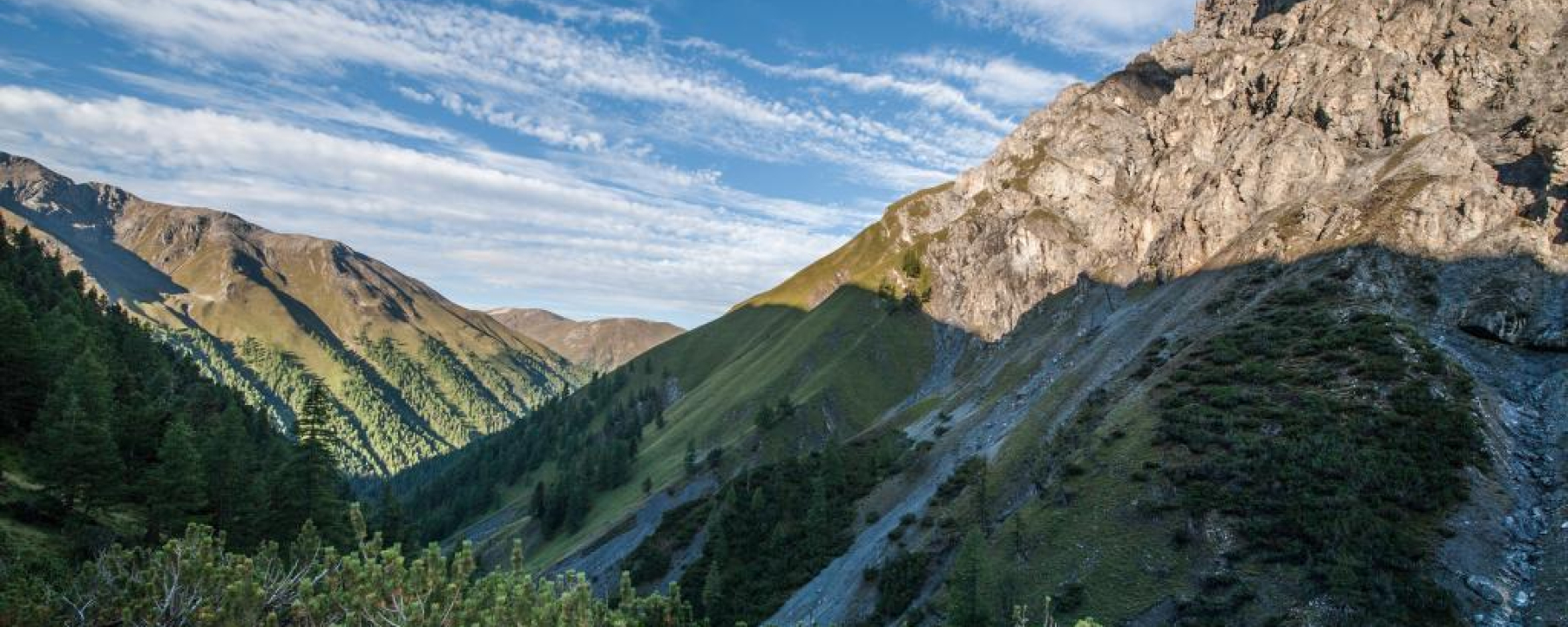 Im Aufstieg durch die Legföhrengürtel in der Val Müschauns