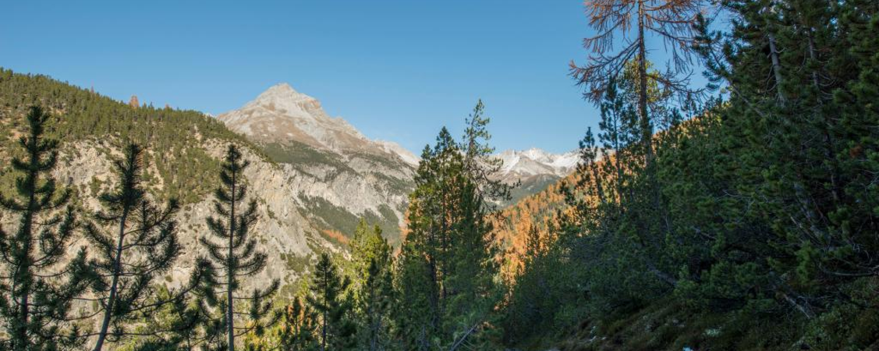 Der Weg schlängelt sich von La Drossa dem Hang entlang Richtung Alp la Schera. Im Hintergrund der Piz dal Fuorn.