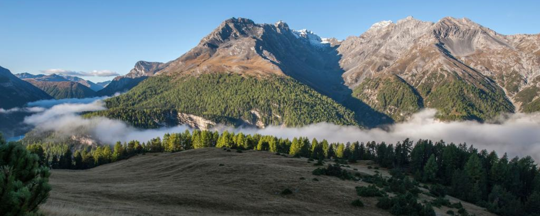 Morgendliche Nebelschwaden auf Alp la Schera. Links hinten befindet sich das italienische Livigno.