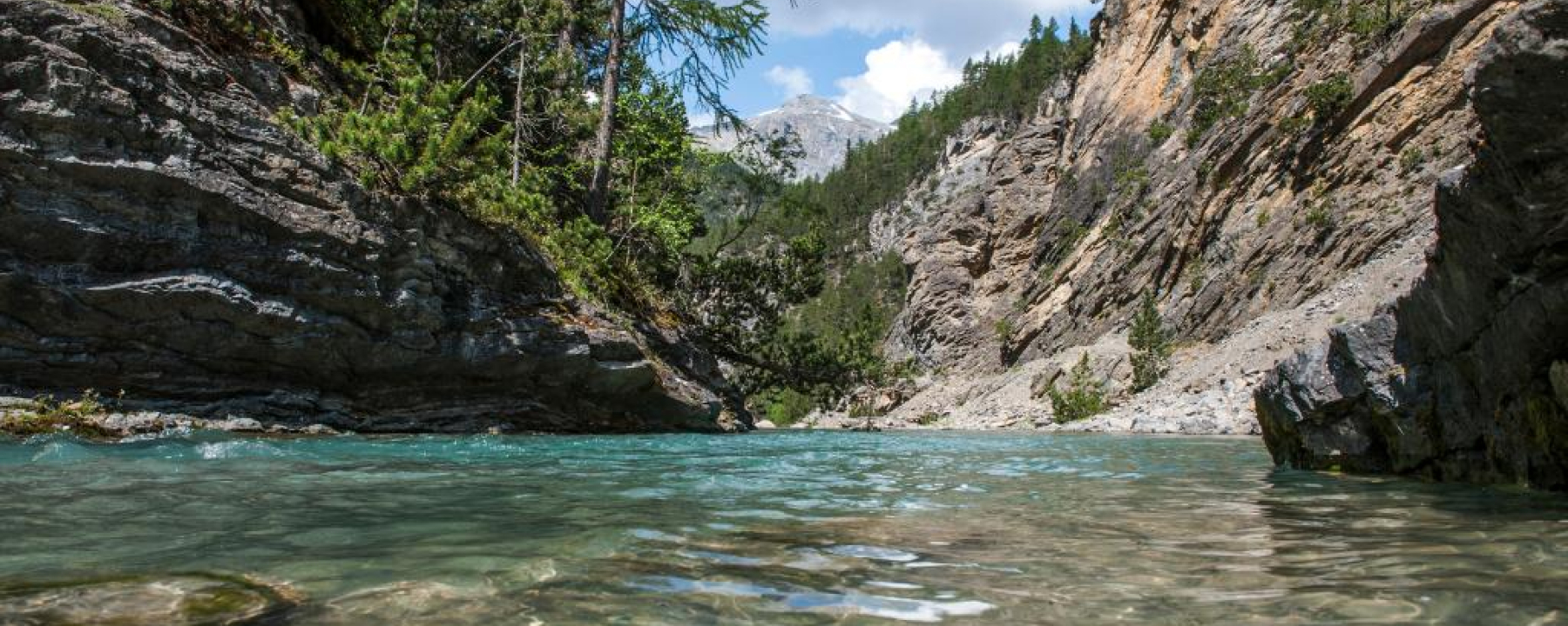 Statt nach La Drossa kann die Wanderung auch weiter dem Spöl entlang bis zur Staumauer Punt dal Gall führen.