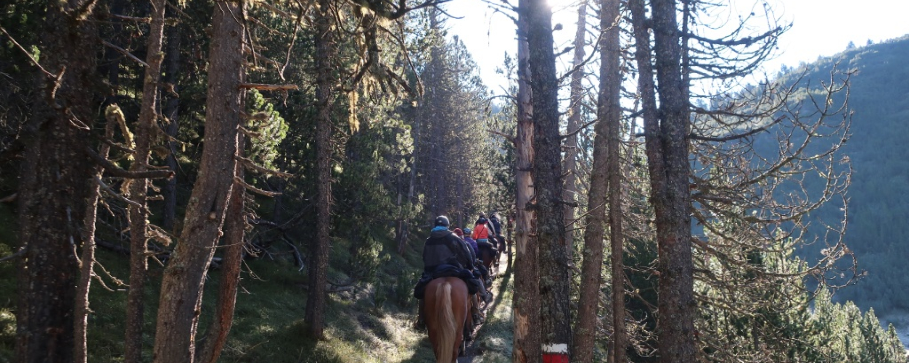 Aufstieg zum Ofenpass
