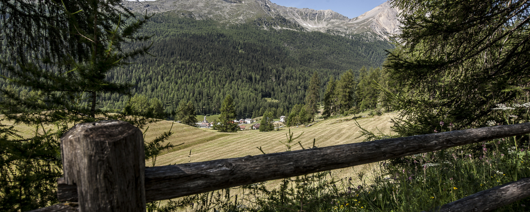 Aussicht auf Tschierv