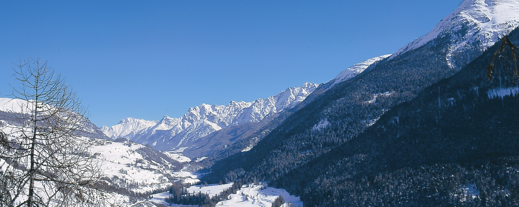 Blick von der Schlittelpiste auf Lavin.