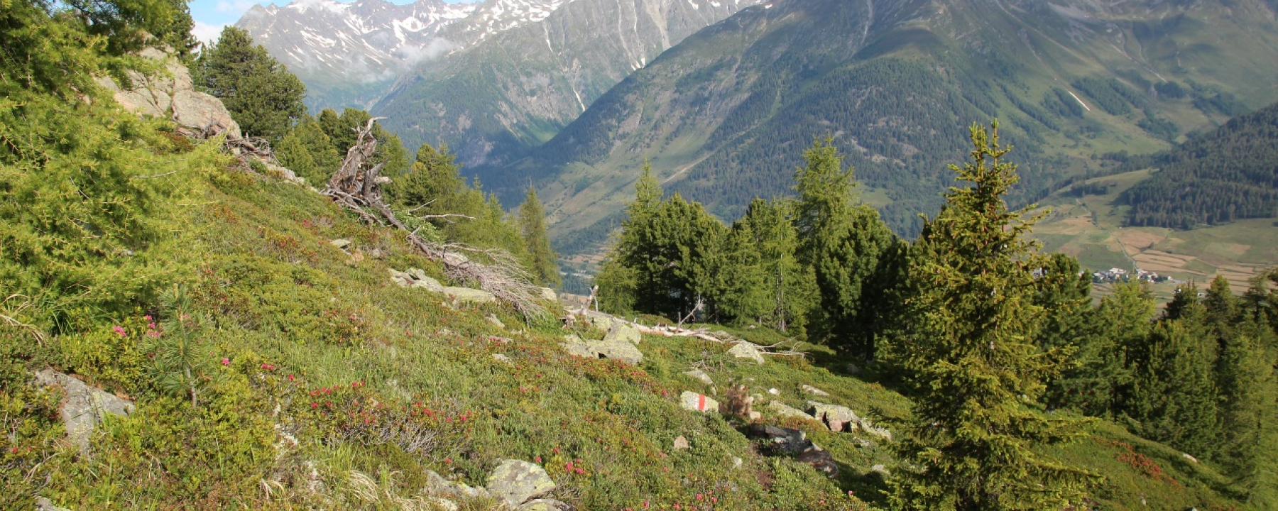 Muot la Sella: Panoramablick Unterengadin