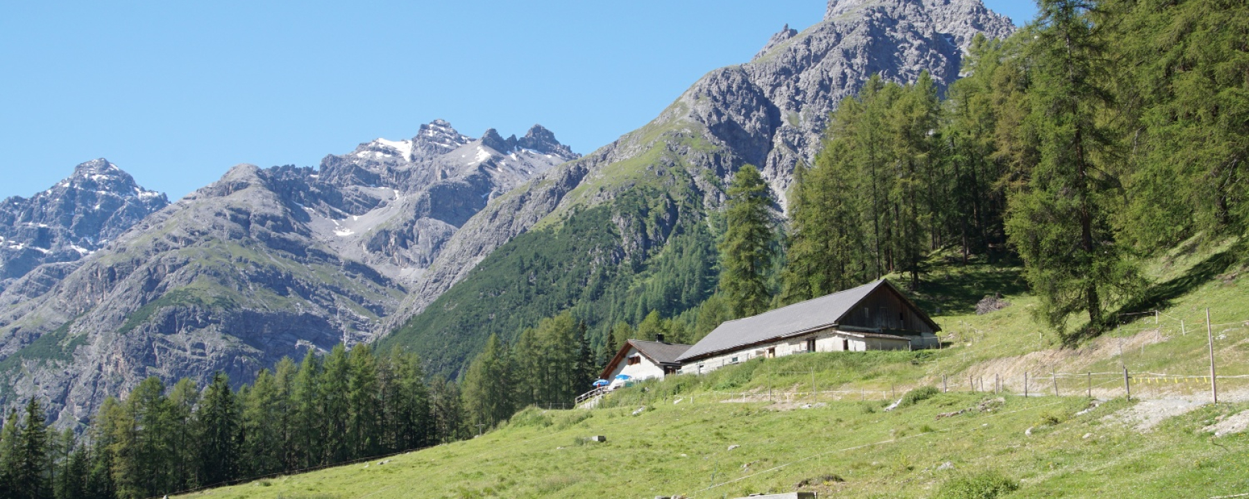 Alp Laisch