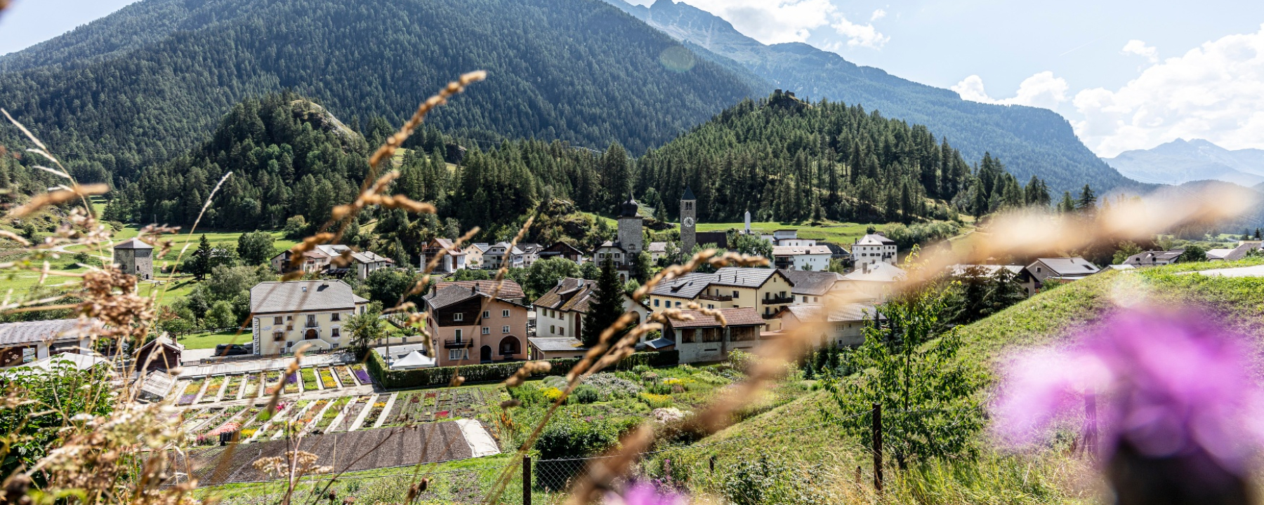 Susch im Sommer