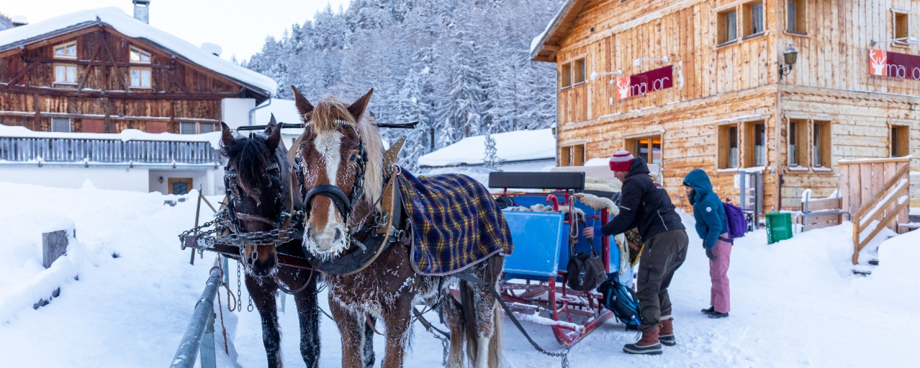 Kutschenfahrten ins Gasthaus Mayor