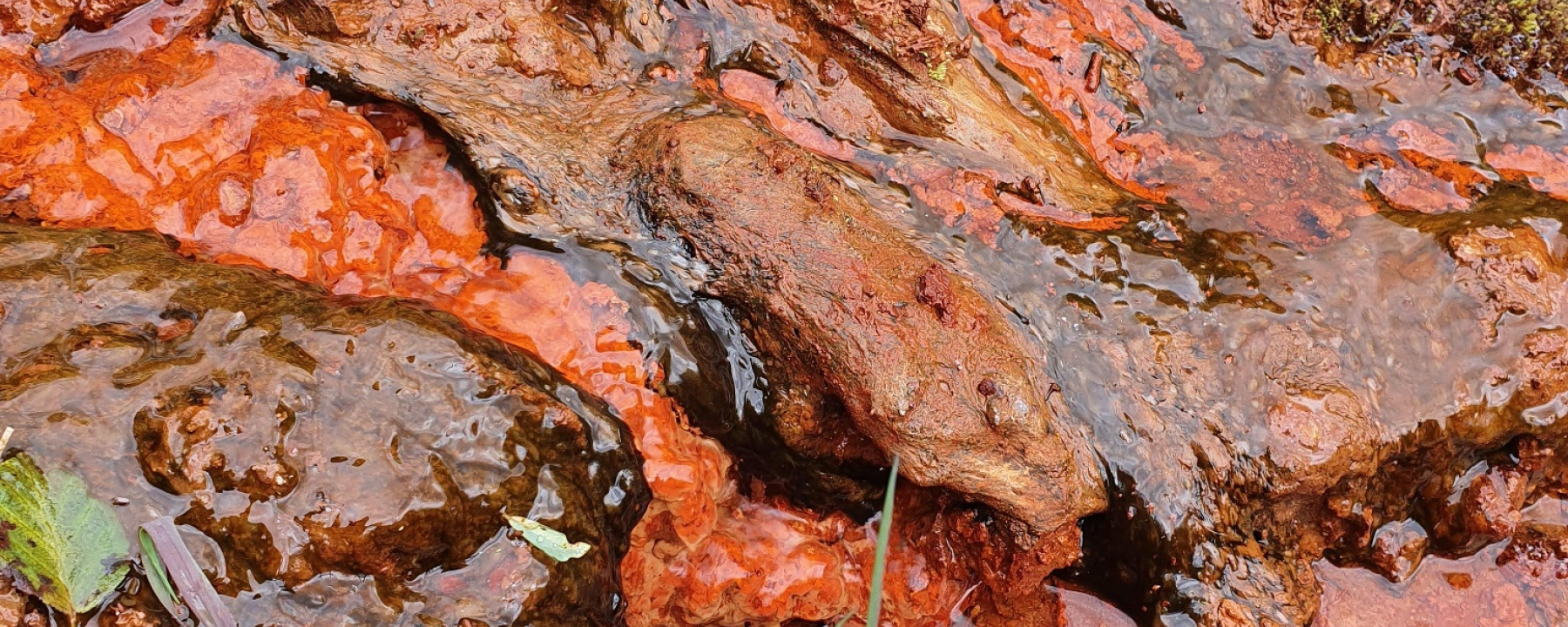 Wasserläufe der Chalzina Sura-Quelle mit roten Ablagerungen begrenzt durch schwarze Algen