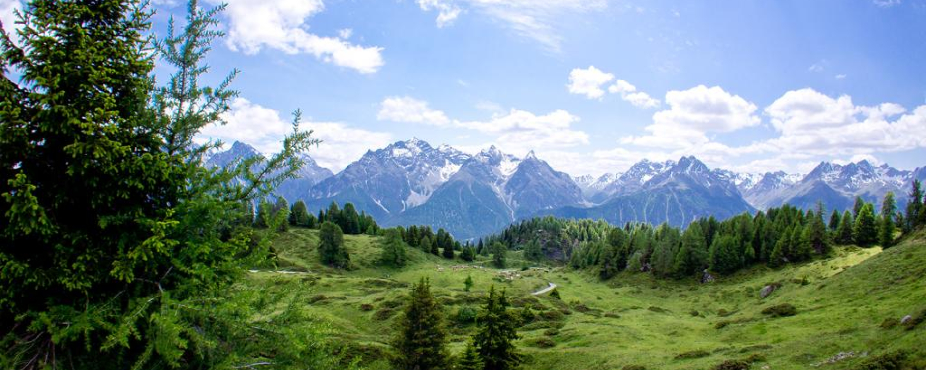 Hoch über Ftan: Piz Clünas – Alp Laret