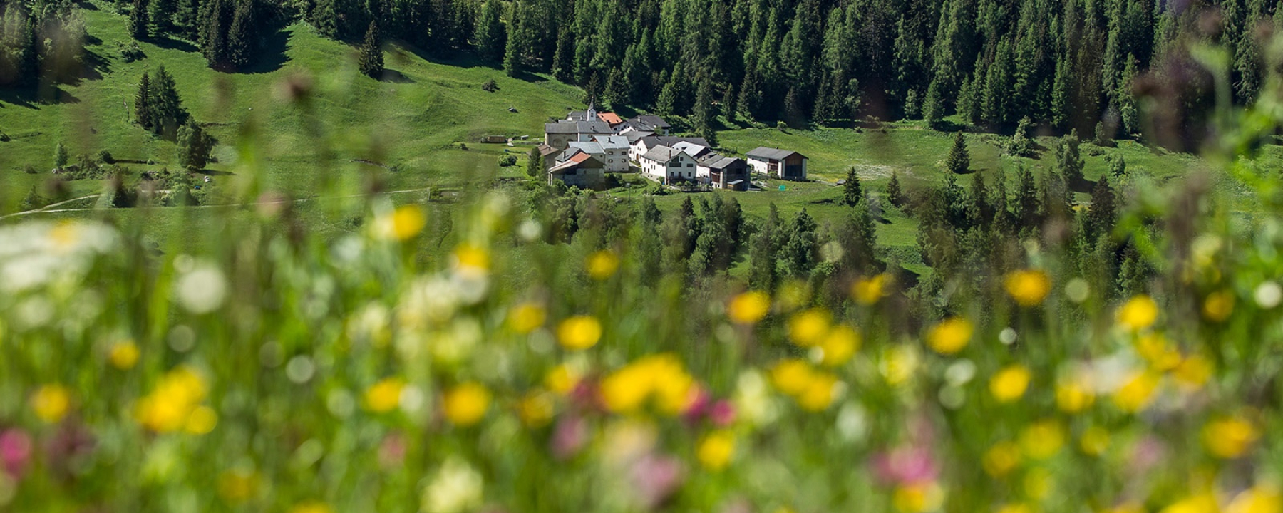 Tarasp – Innschlucht – Ardez