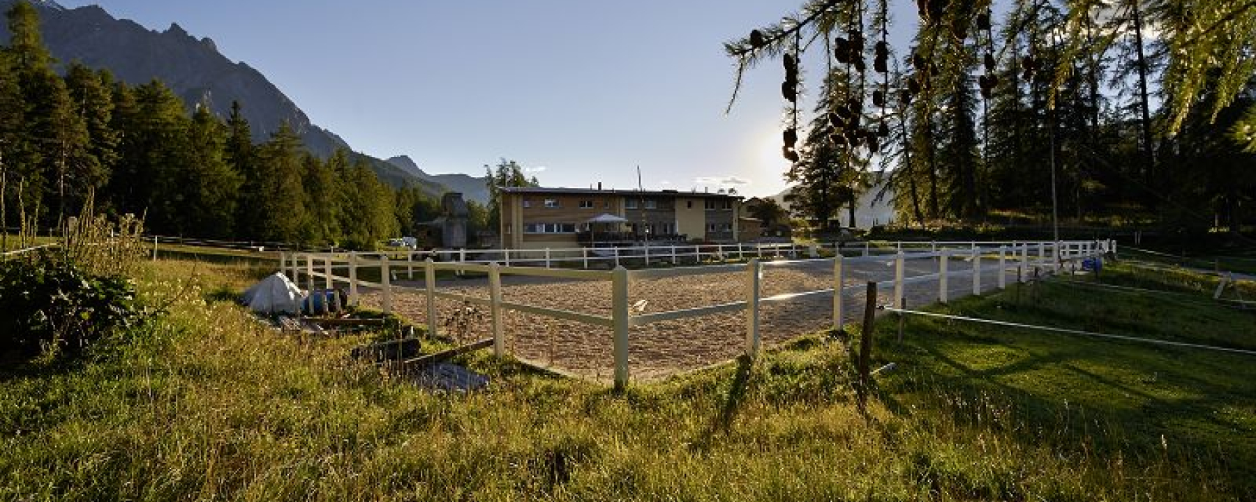 Sommerbild Saloon