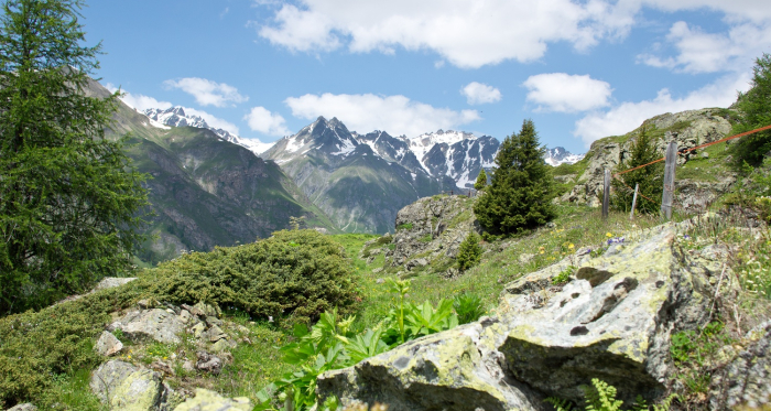 Alp Cluenas Rundtour