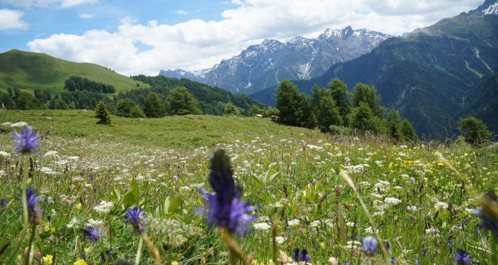 Hoch über Munt d'Ardez