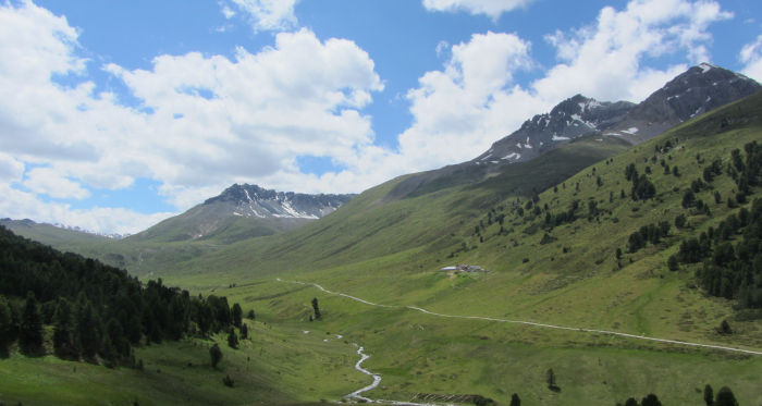 Tamangur Dadora, Blick zur Alp Astras