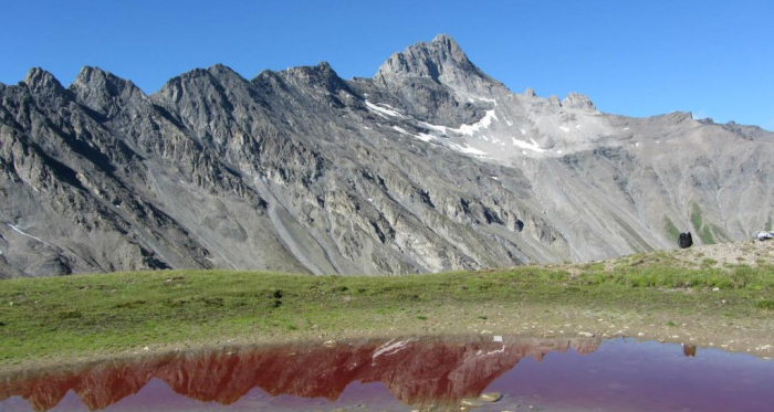Rotes Seeli mit Stammerspitz