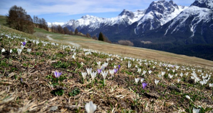 Frühling im Unterengadin Frühling im Unterengadin