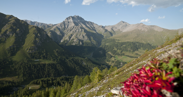 Der imposante Piz Tschütta