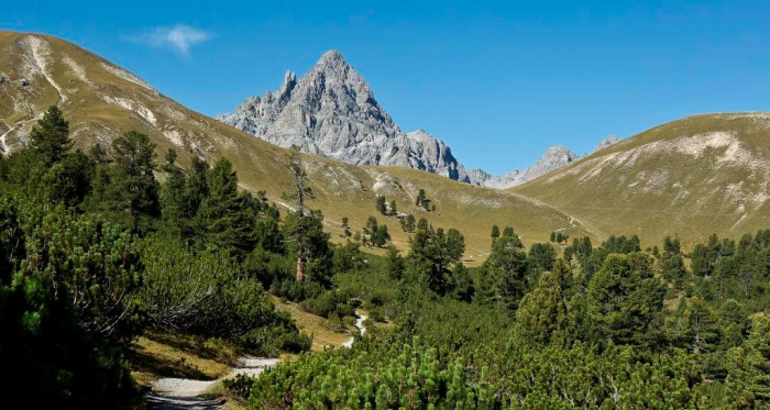 Val Mingèr