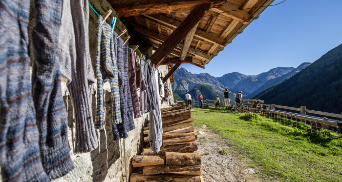 Die Alp Tavrü.