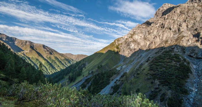 Im Aufstieg durch die Legföhrengürtel in der Val Müschauns Im Aufstieg durch die Legföhrengürtel in der Val Müschauns