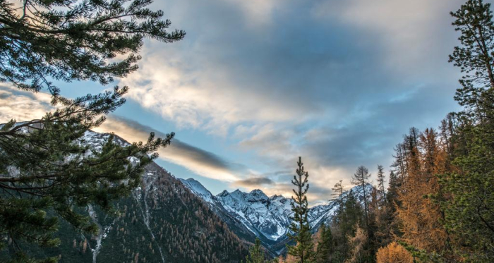 Herbstliche Morgenstimmung eingangs Val Trupchun. Im Talgrund der Piz dal Diavel. Herbstliche Morgenstimmung eingangs Val Trupchun. Im Talgrund der Piz dal Diavel.