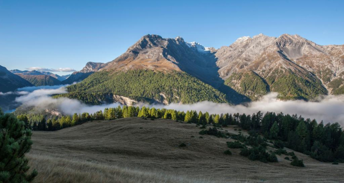 Morgendliche Nebelschwaden auf Alp la Schera. Links hinten befindet sich das italienische Livigno.