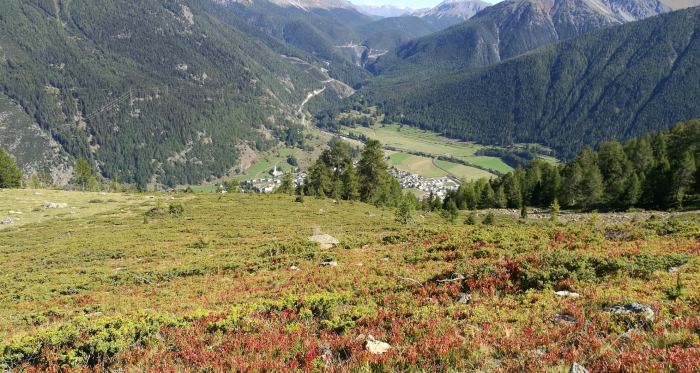 Blick auf Zernez und Ofenpass Blick auf Zernez und Ofenpass