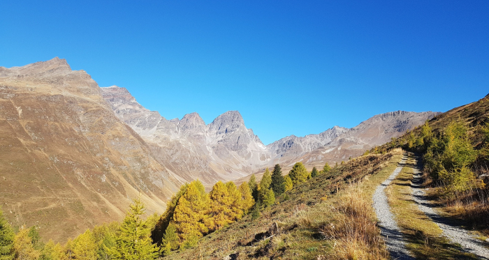 Lai Blau Trailrunning