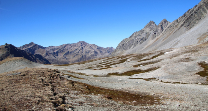 Flesspass und Vereinapass