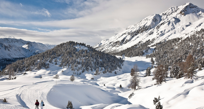 Winterwanderweg vom Bergrestaurant Alp da Munt zur Talstation Era Sot.