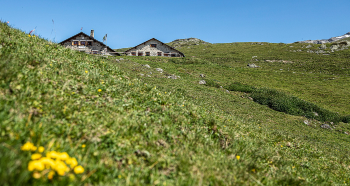 Alp Laret, oberhalb von Ftan