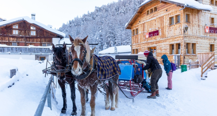 Kutschenfahrten ins Gasthaus Mayor