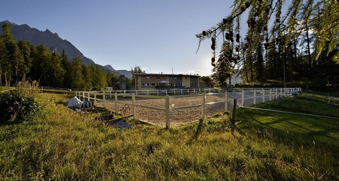 Sommerbild Saloon