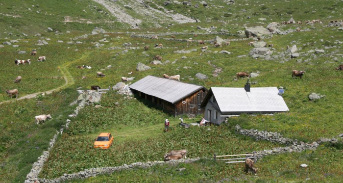 Sennhütte Alp Urschai, Ftan Sennhütte Alp Urschai, Ftan