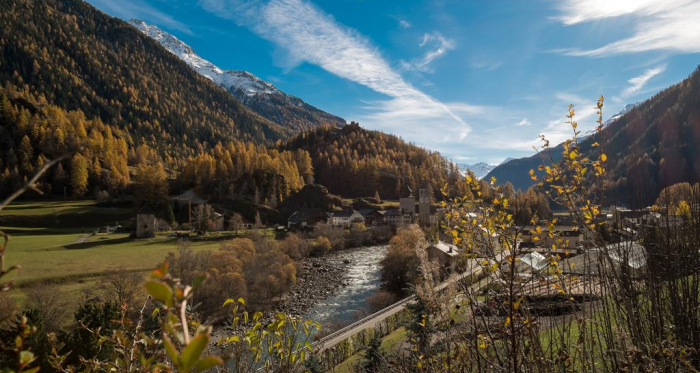 Flesspass und Vereinapass