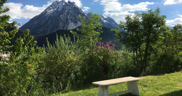 Aussicht vom Garten