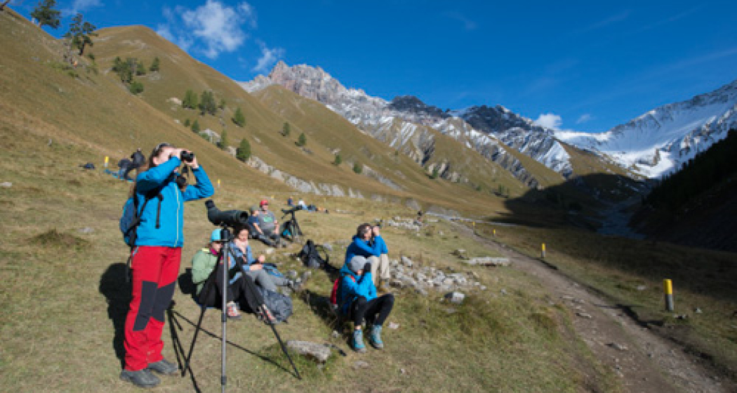 Geführte Exkursion Trupchun (nsp_img_634e16d)