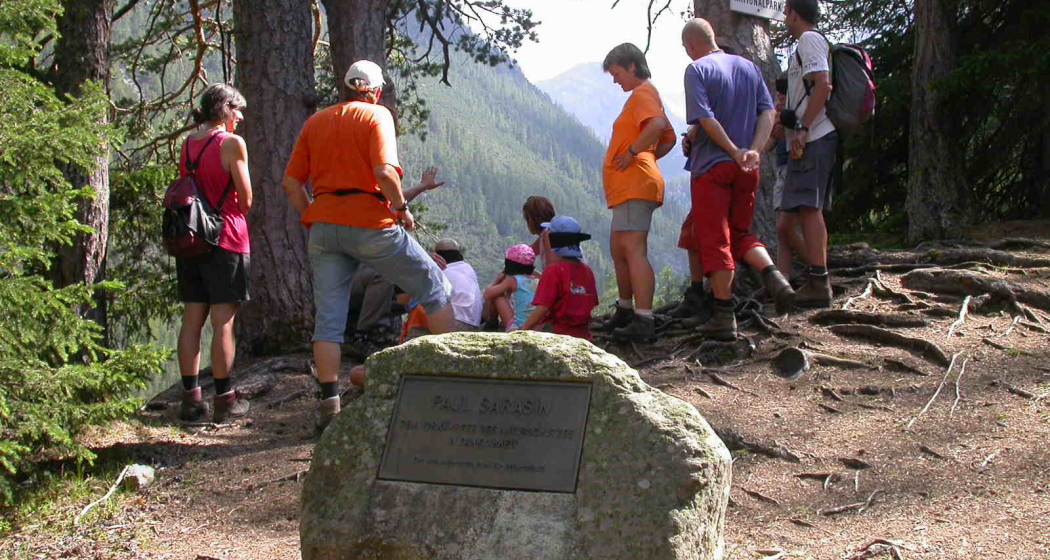 Natur(g)WUNDER (nsp_img_ec1272b)