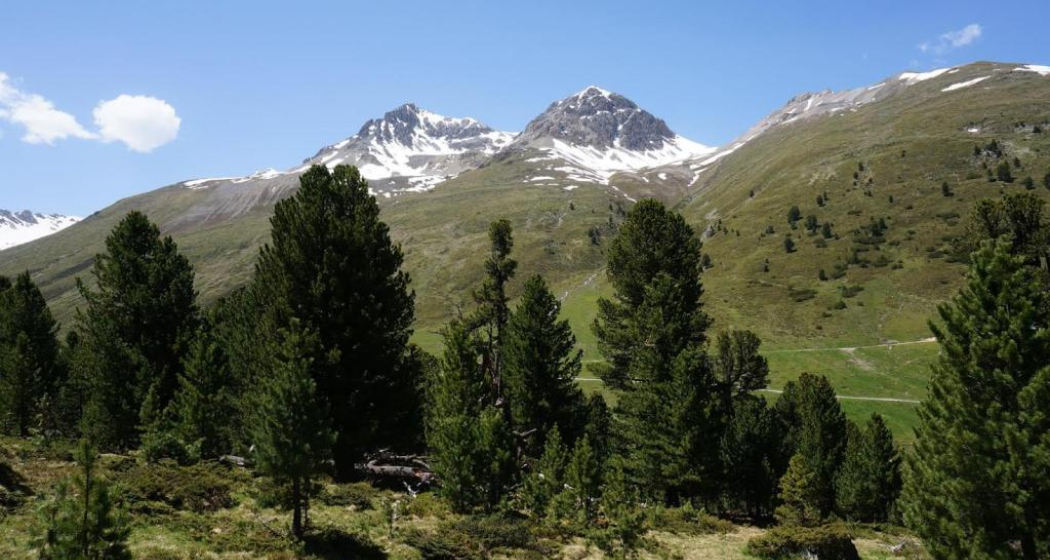 S-charl – Piz Amalia (retour) (oua_13649610_image) S-charl – Piz Amalia (retour) (oua_13649610_image)