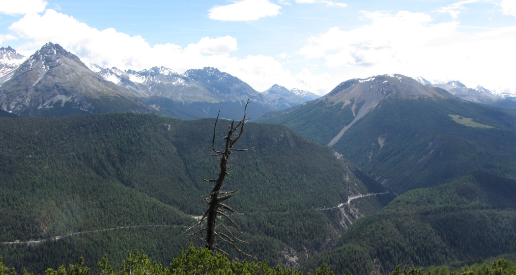 Blick vom Murter Richtung Ofenpass Blick vom Murter Richtung Ofenpass