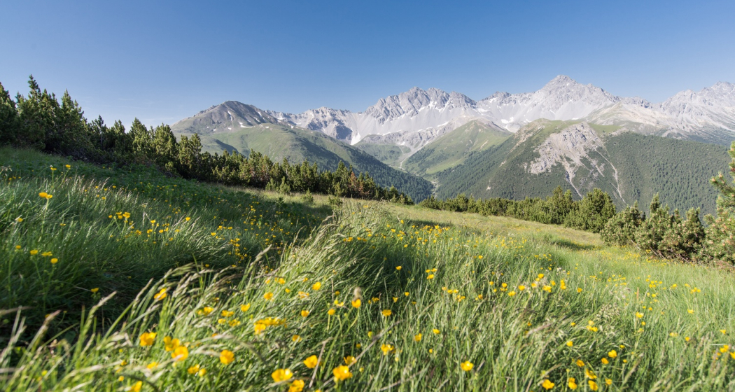 Etwas unterhalb der Mot Madlain mit Blick Richtung Val Tavrü. Etwas unterhalb der Mot Madlain mit Blick Richtung Val Tavrü.