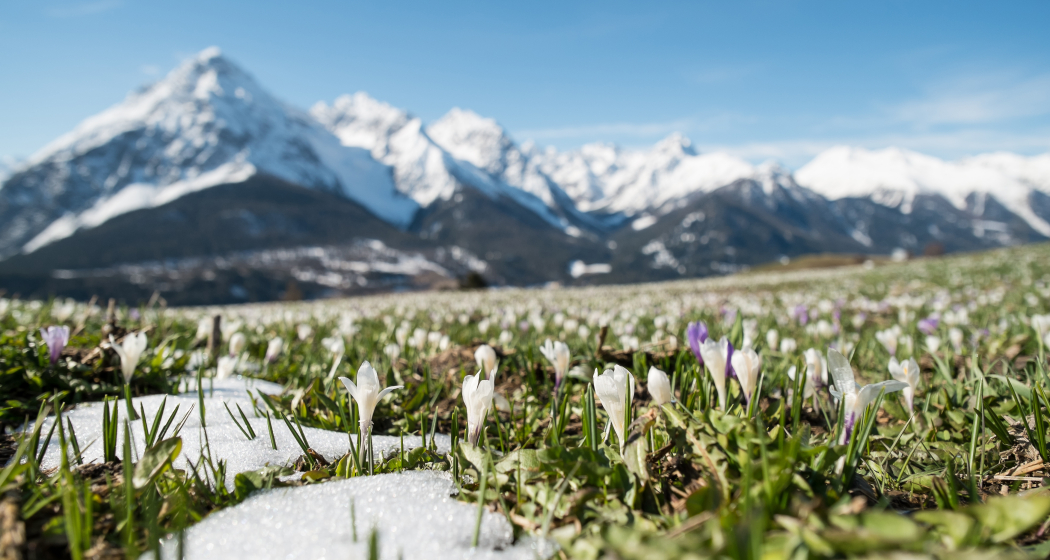 Scuol – Chauennas – Sent – Tuffaloras (Rundweg) (oua_15654775_image) Scuol – Chauennas – Sent – Tuffaloras (Rundweg) (oua_15654775_image)